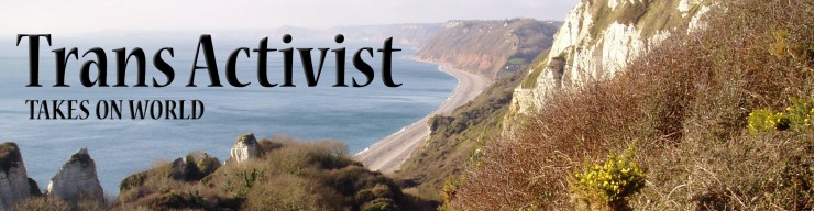 cropped-trans-activist-banner