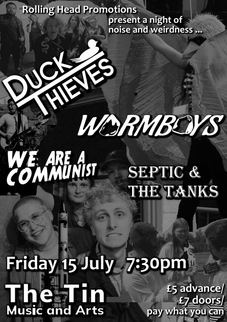 Poster in greyscale with pictures of people in silly outfits and/or pulling faces. Text reads: Rolling Head Promotions present a night of noise and weirdness. Duck Thieves, wormboys, We Are A Community, Septic & The Tanks. Friday 15 July, 7:30pm, The Tin Music and Arts. £5 advance/£7 doors/pay what you can.