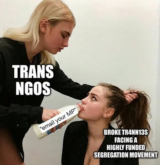 Meme depicting two femme white women. One is labelled "trans NGOs", and is holding the other woman firmly by her hair. The second woman is labelled "broke trannies facing a highly funded segregation movement". The first woman is force-feeding the second woman a bottle of milk, labelled "email your MP".