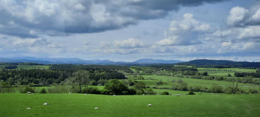 Photo of British landscape with rolling green hills and distant mountains, with sheep in the fields and clouds overhead. Faint reflections can be seen, indicating the photo was taken from inside a vehicle.